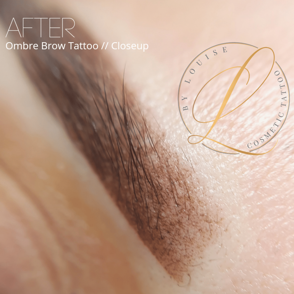 ombre brows 12