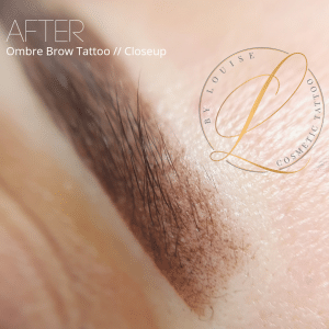ombre brows 12